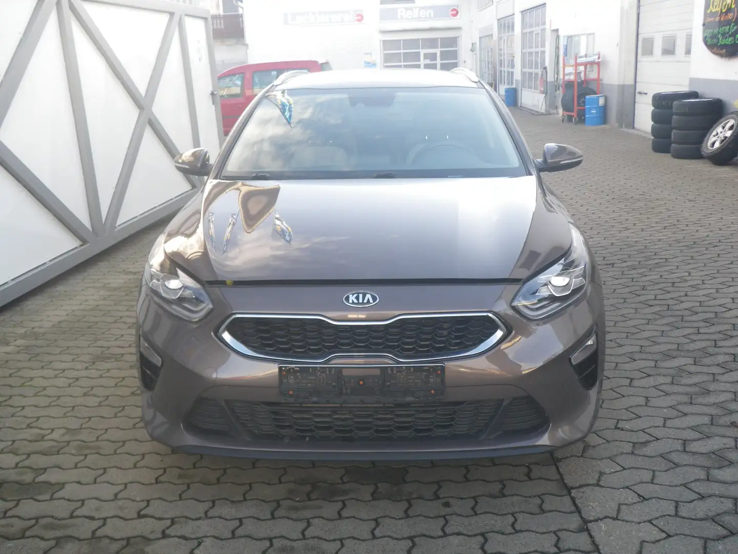 Kia Ceed SW / cee'd SW Vision Braun - 1