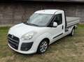 Fiat Doblo Doblo Cargo Work Up 105 Mjet Work Up Weiß - thumbnail 3