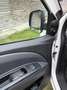 Fiat Doblo Doblo Cargo Work Up 105 Mjet Work Up Weiß - thumbnail 10