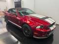 Ford Mustang Shelby GT500 Cabrio Rood - thumbnail 2