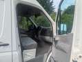 Volkswagen Crafter Crafter 35 TDI DPF Weiß - thumbnail 4