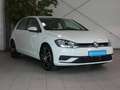 Volkswagen Golf 1.0 TSI TRENDLINE SHZ KLIMAAUT TEL TEMPOMAT 18ZOLL Weiß - thumbnail 3