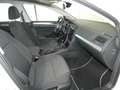 Volkswagen Golf 1.0 TSI TRENDLINE SHZ KLIMAAUT TEL TEMPOMAT 18ZOLL Weiß - thumbnail 11