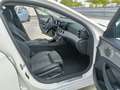Mercedes-Benz E 220 d NIGHT LED/LEDER/AMBIENTE/EL.HECKKLAPPE/RFKAM/AHK Weiß - thumbnail 10