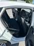 Hyundai i10 i10 1,0 Level 3 Level 3 Weiß - thumbnail 11