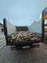 Iveco Daily Ribaltabile - thumbnail 3