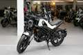 Benelli Leoncino 125, sofort lieferbar Wit - thumbnail 3