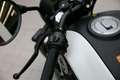 Benelli Leoncino 125, sofort lieferbar White - thumbnail 15
