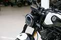 Benelli Leoncino 125, sofort lieferbar Alb - thumbnail 10