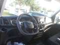 Iveco Daily 35c18 centinato con pedana Blanco - thumbnail 18