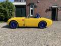 Austin-Healey Sprite Ex FIA Historische Race Auto - thumbnail 8