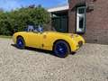 Austin-Healey Sprite Ex FIA Historische Race Auto - thumbnail 13