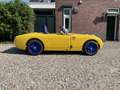 Austin-Healey Sprite Ex FIA Historische Race Auto - thumbnail 12