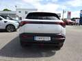 Suzuki Vitara eVitara 61kWh GL+ Allgrip-e Shine Weiß - thumbnail 5