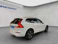 Volvo XC60 XC60 B4 Momentum-Pro Aut Glasd Leder Kamera 18'' Weiß - thumbnail 6