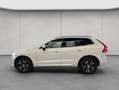 Volvo XC60 XC60 B4 Momentum-Pro Aut Glasd Leder Kamera 18'' Weiß - thumbnail 2