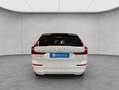 Volvo XC60 XC60 B4 Momentum-Pro Aut Glasd Leder Kamera 18'' Weiß - thumbnail 4