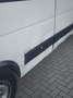 Renault Master Koelwagen Master T35 2.3 dCi L3H2 En. Wit - thumbnail 13