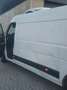 Renault Master Koelwagen Master T35 2.3 dCi L3H2 En. Wit - thumbnail 4