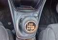 Ford Puma 1.0 ecoboost h Titanium s&s 125cv Grigio - thumbnail 10