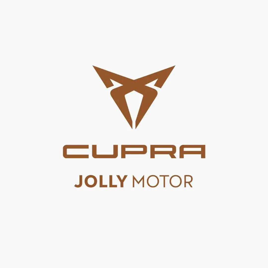 CUPRA Leon Sportstourer 2.0 TDI 150 CV DSG NOLEGGIO A LUNGO Grigio - 2