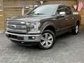 Ford F 150 Platinum 3.5 EcoB. 4x4 AHK Pano Leder Navi Grau - thumbnail 6