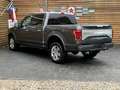 Ford F 150 Platinum 3.5 EcoB. 4x4 AHK Pano Leder Navi Grau - thumbnail 10