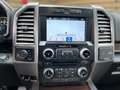 Ford F 150 Platinum 3.5 EcoB. 4x4 AHK Pano Leder Navi Gris - thumbnail 22