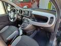Fiat Panda Panda 1.0 firefly hybrid CityLife Grigio - thumbnail 5