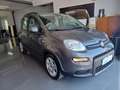 Fiat Panda Panda 1.0 firefly hybrid CityLife Grigio - thumbnail 15