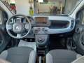 Fiat Panda Panda 1.0 firefly hybrid CityLife Grigio - thumbnail 3