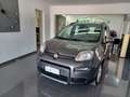 Fiat Panda Panda 1.0 firefly hybrid CityLife Grigio - thumbnail 4