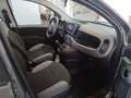 Fiat Panda Panda 1.0 firefly hybrid CityLife Grigio - thumbnail 9