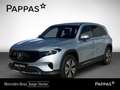 Mercedes-Benz EQB 250 + Österreich-Edition PTS Navi Wide Cam Silber - thumbnail 1