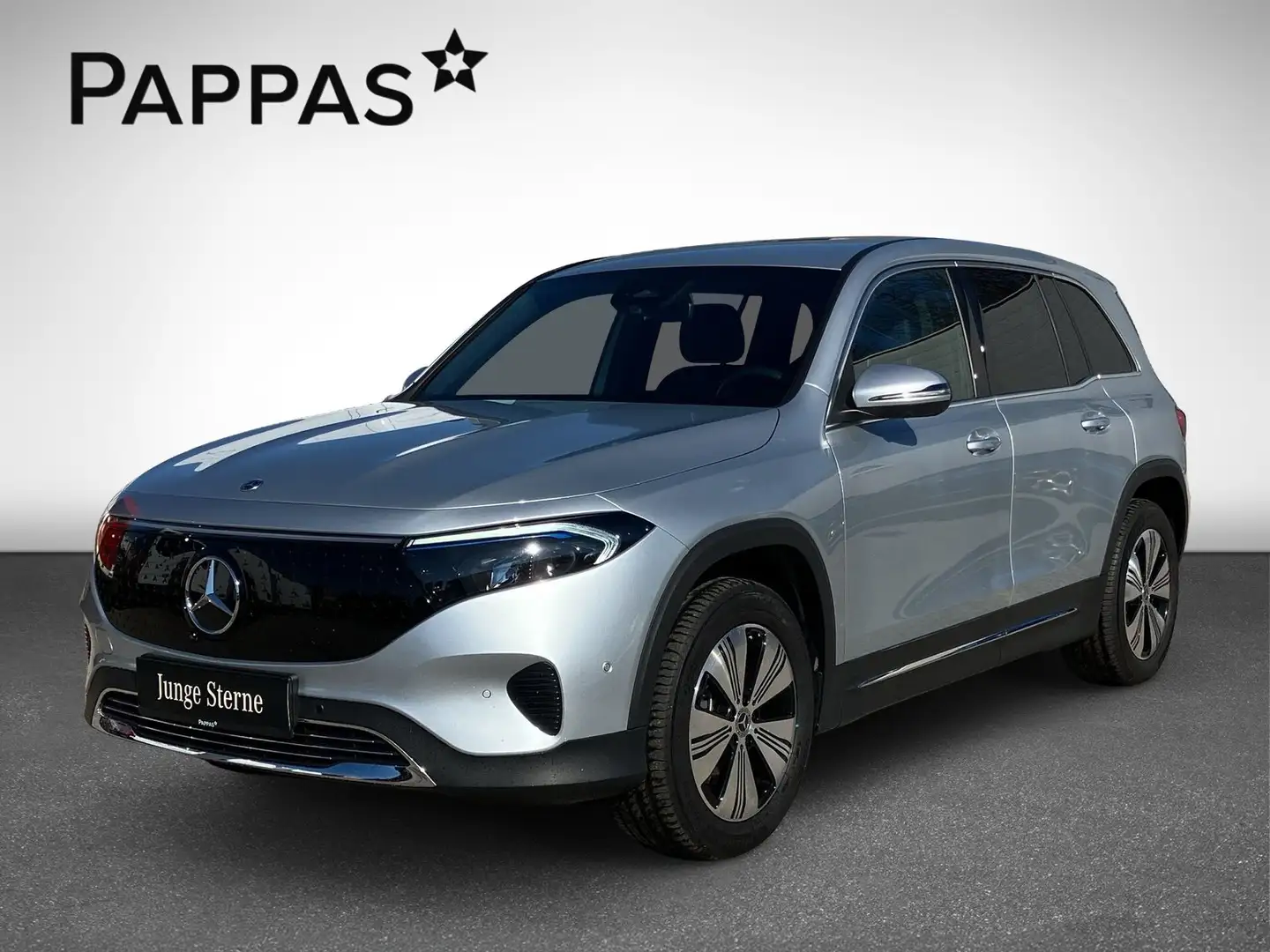 Mercedes-Benz EQB 250 + Österreich-Edition PTS Navi Wide Cam Silber - 2