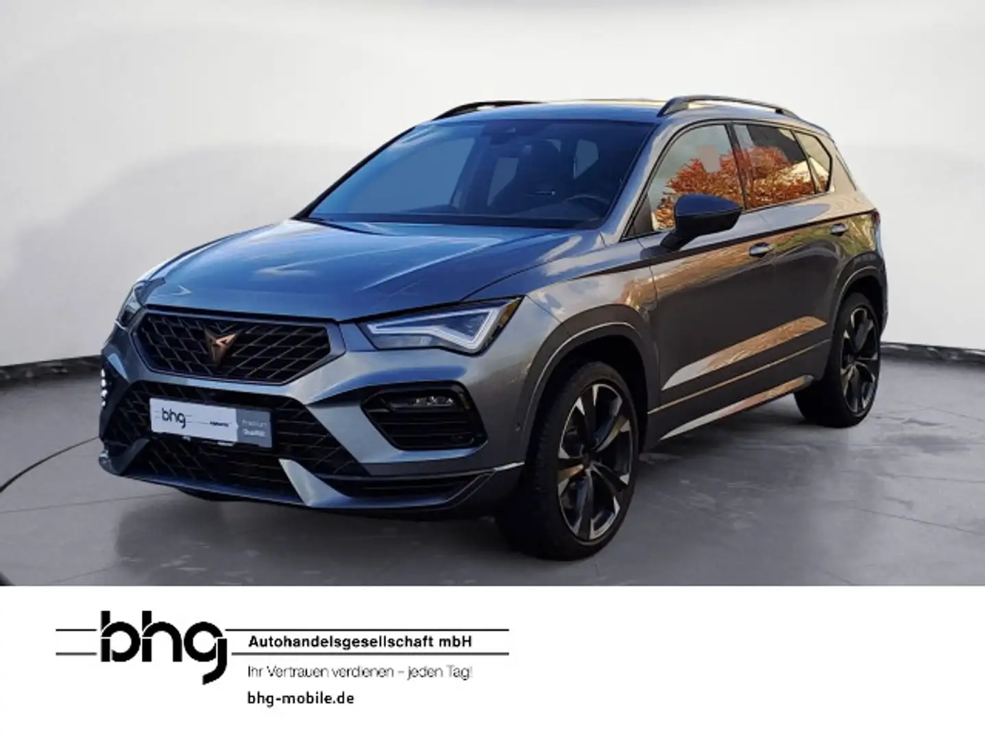 CUPRA Ateca CUPRA Ateca 2.0 TSI Grau - 1