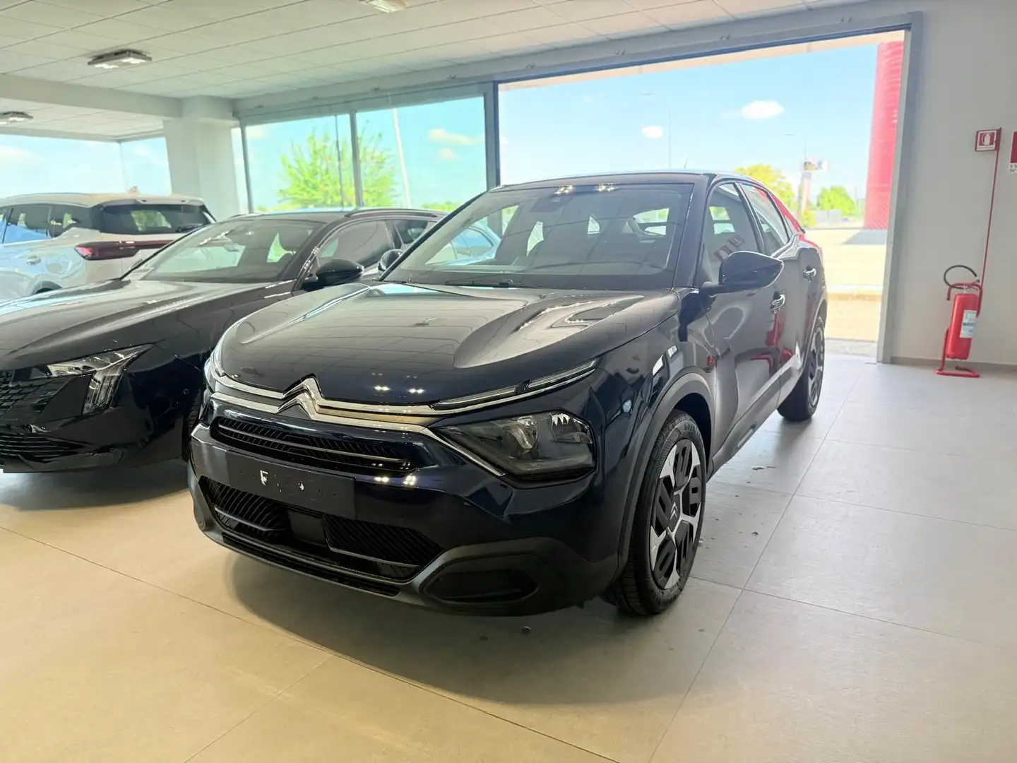 Citroen C4 PureTech 100 S&S You Blu/Azzurro - 2