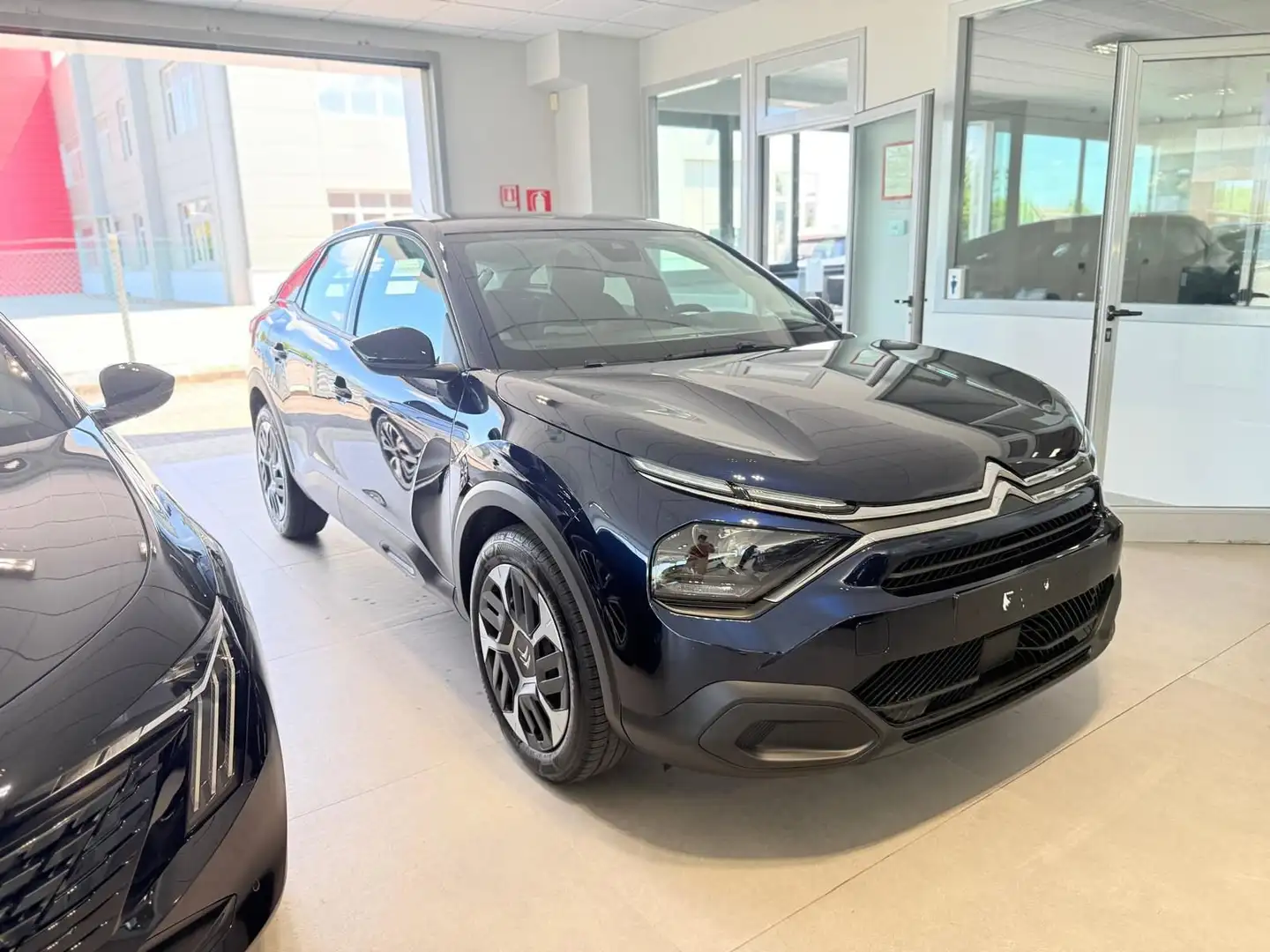 Citroen C4 PureTech 100 S&S You Blu/Azzurro - 1