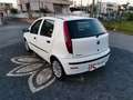 Fiat Punto Punto 5p 1.3 mjt 16v 5 porte Dynamic Weiß - thumbnail 6