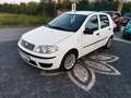 Fiat Punto Punto 5p 1.3 mjt 16v 5 porte Dynamic Weiß - thumbnail 4