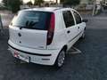 Fiat Punto Punto 5p 1.3 mjt 16v 5 porte Dynamic Weiß - thumbnail 8