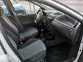 Fiat Punto Punto 5p 1.3 mjt 16v 5 porte Dynamic Weiß - thumbnail 11