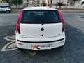 Fiat Punto Punto 5p 1.3 mjt 16v 5 porte Dynamic Weiß - thumbnail 7