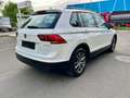 Volkswagen Tiguan 2,0 TDI Trendline *Pickerl neu* Bianco - thumbnail 5