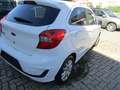 Ford Ka/Ka+ Ka  1,2 Trend Trend Weiß - thumbnail 3