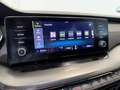 Skoda Octavia Combi 2.0TDI Ambition DSG 110kW Gris - thumbnail 17