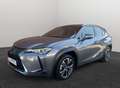 Lexus UX 250h Premium: Stijlvol, betrouwbaar en duurzaam Grijs - thumbnail 37