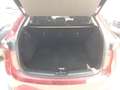 Mazda CX-5 2.5 Zenith Cruise+Roof+Black Leather 4WD Aut. 143k Rojo - thumbnail 7
