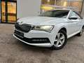 Skoda Superb Kombi 2,0 TDI Ambition DSG*NAVI*LED*ACC******* Weiß - thumbnail 12