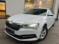Skoda Superb Kombi 2,0 TDI Ambition DSG*NAVI*LED*ACC******* Weiß - thumbnail 1
